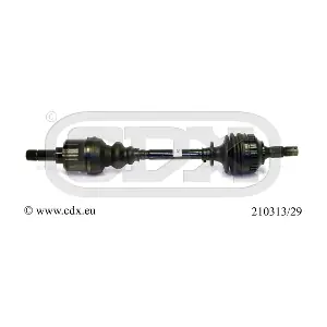 210313/29 CDX