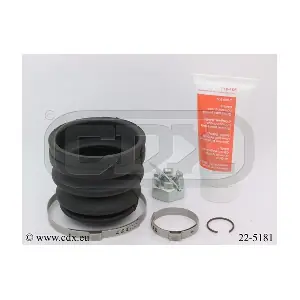 22-5181 CDX