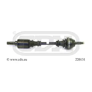 220131 CDX