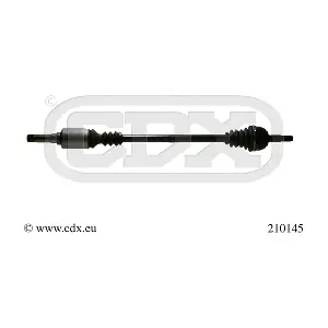 210145 CDX