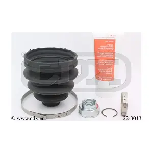 CDX 22-3013
