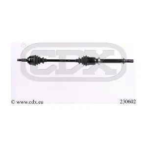 230602 CDX