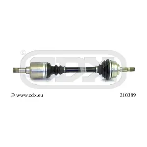210389 CDX