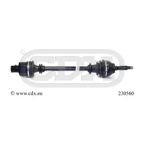 230560 CDX