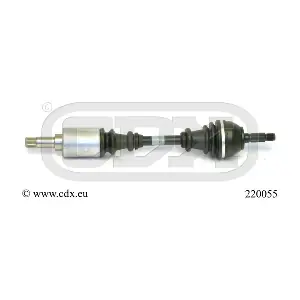 CDX 220055