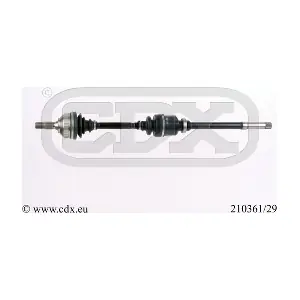210361/29 CDX