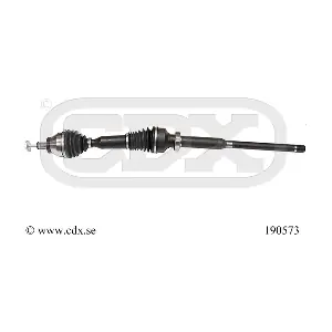 190573 CDX