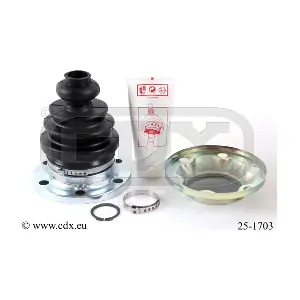 25-1703 CDX