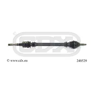 240529 CDX