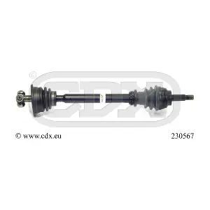 230567 CDX