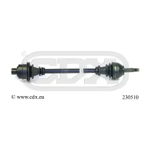 230510 CDX