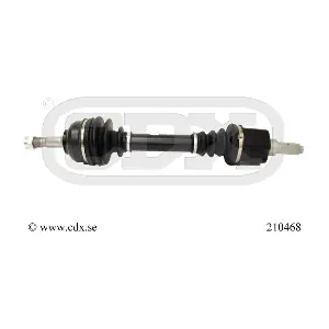 210468 CDX