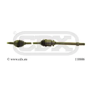 110806 CDX