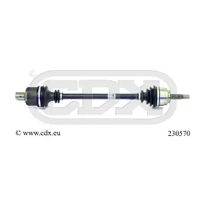230570 CDX