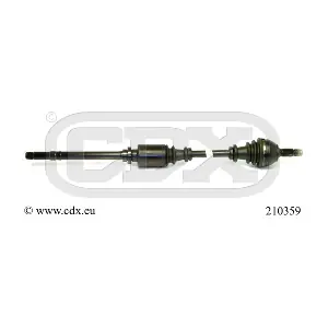 210359 CDX