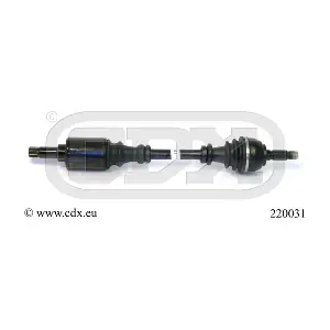 220031 CDX