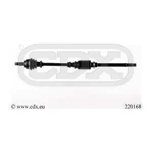 220168 CDX