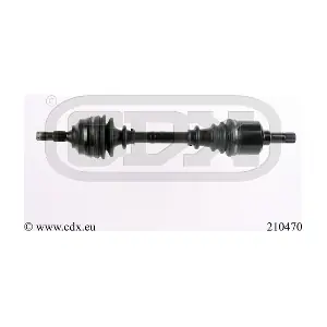 210470 CDX