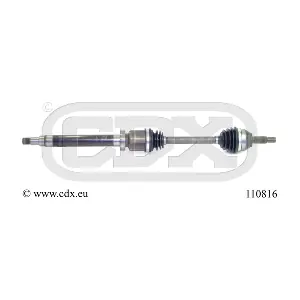 110816 CDX