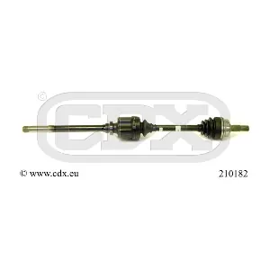 210182 CDX