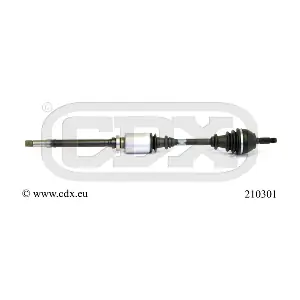 210301 CDX