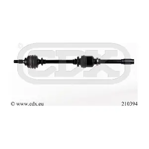 210394 CDX