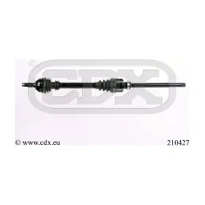 210427 CDX
