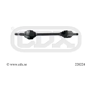 220224 CDX