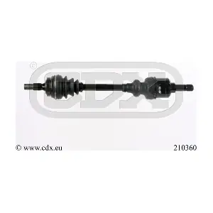 210360 CDX