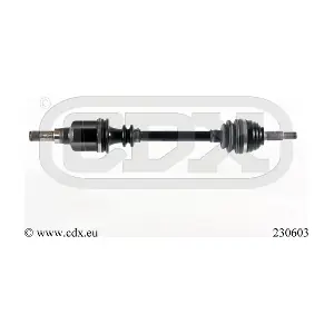CDX 230603
