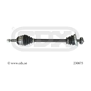 230675 CDX