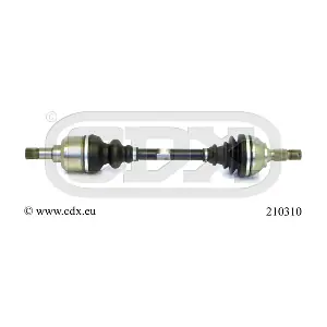 210310 CDX