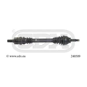 240509 CDX