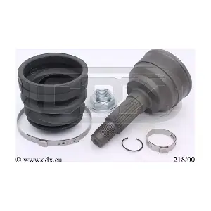 21800 CDX
