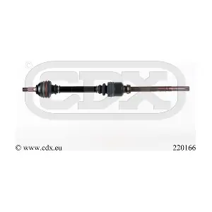 220166 CDX