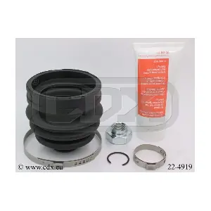 22-4919 CDX