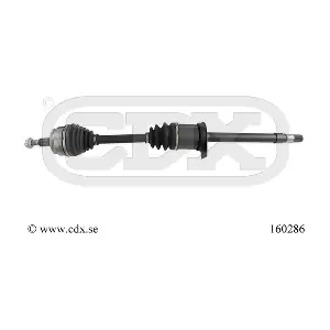 160286 CDX