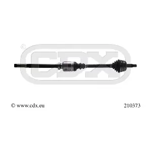 210373 CDX
