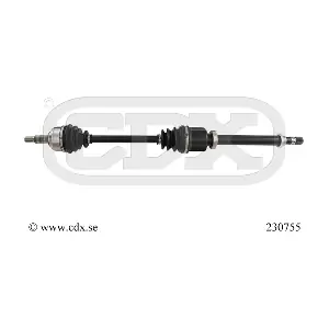 230755 CDX