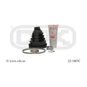 22-1667C CDX
