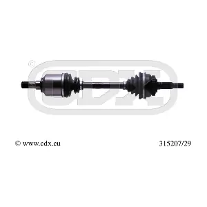315207/29 CDX