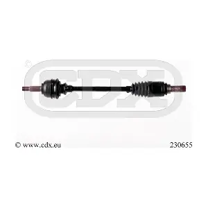 230655 CDX