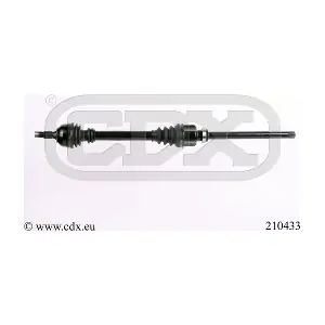 210433 CDX
