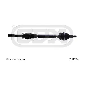230624 CDX