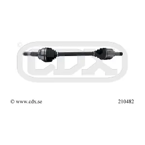 210482 CDX
