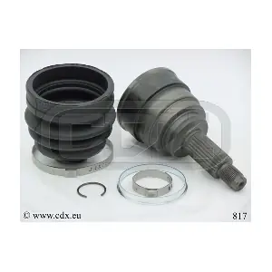 817 CDX