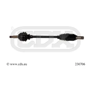 230706 CDX