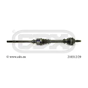 210312/29 CDX