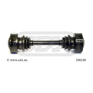 290109 CDX