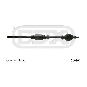 210369 CDX